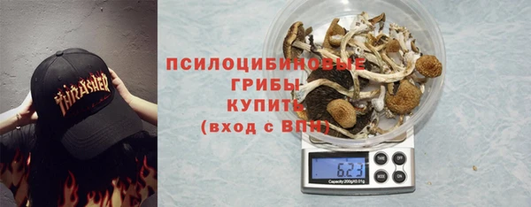 экстази Арсеньев