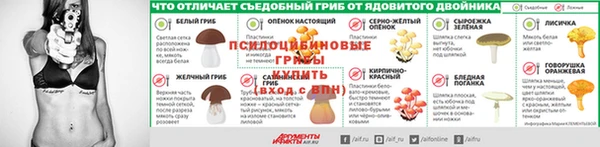 стафф Аркадак