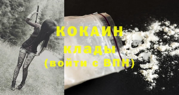 стафф Аркадак