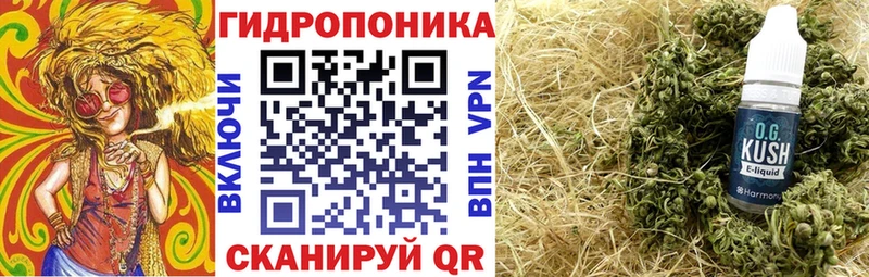 магазин продажи Обоянь Шишки марихуана OG Kush